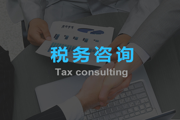 稅務(wù)咨詢